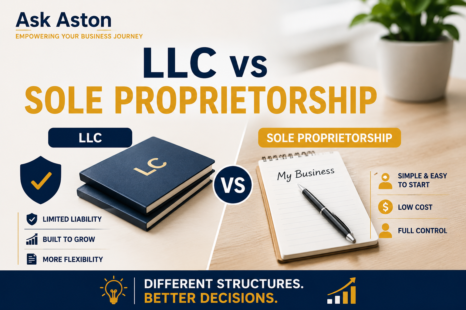 LLC v. Sole Proprietorship Explained